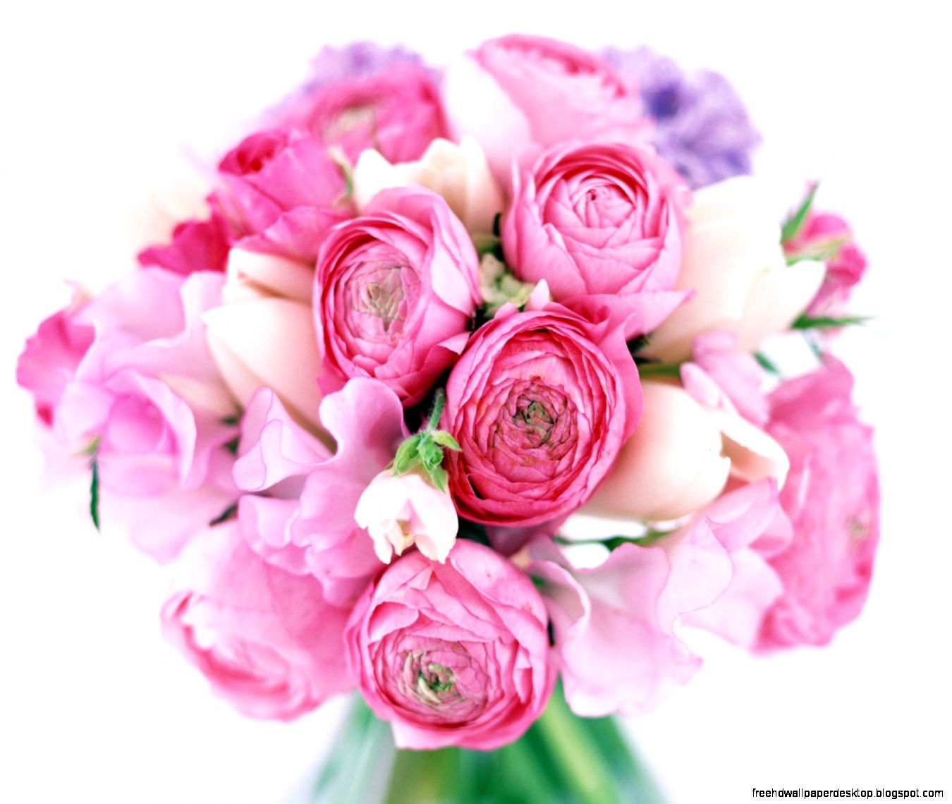 Pink Peony Flowers Bouquet HD Wallpaper HD Nature Wallpapers Pink Peony Flowers Bouquet HD Wallpaper HD Nature Wallpapers