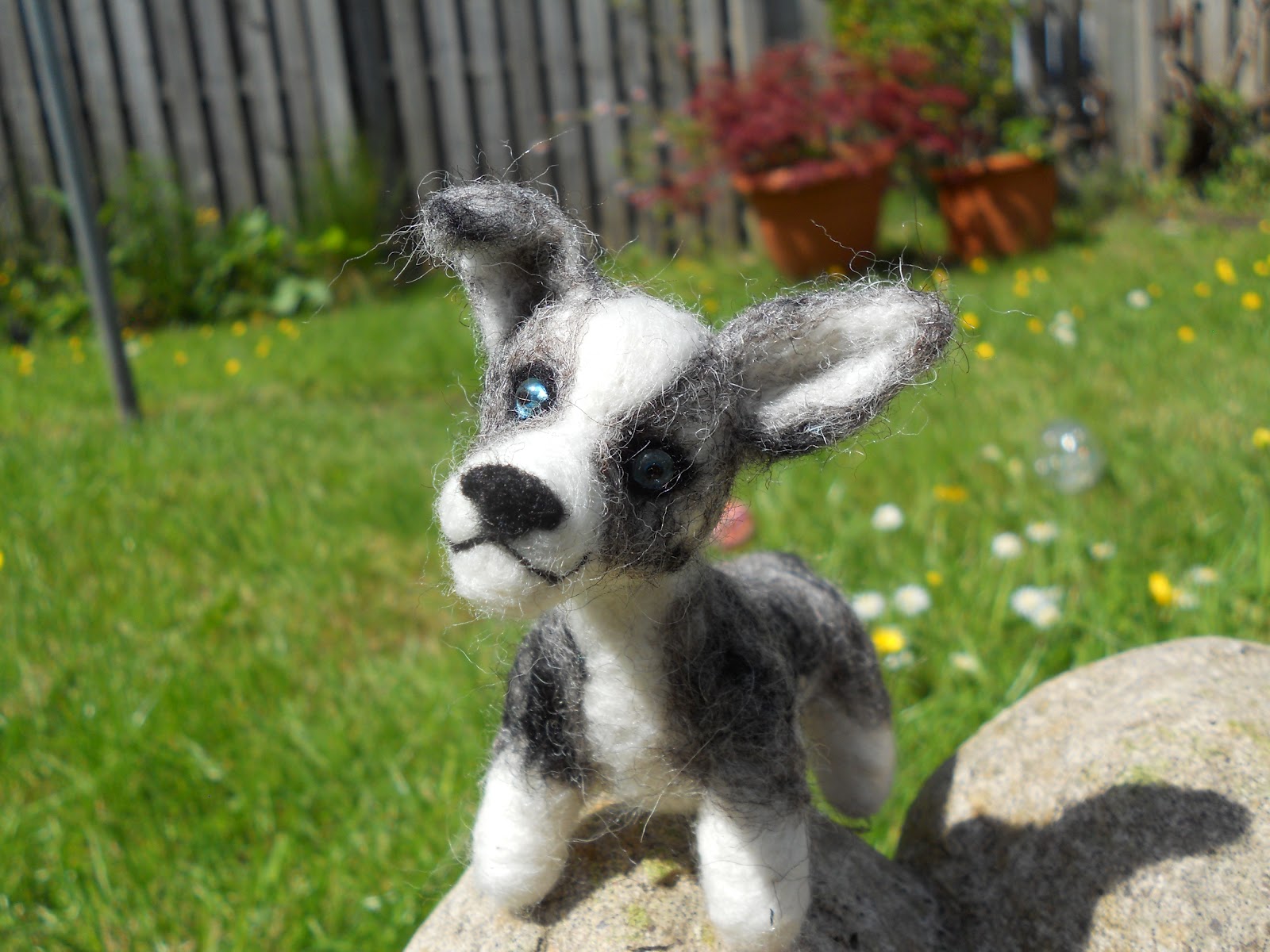 Dog Breeds Az Dog Training Home Dog Types