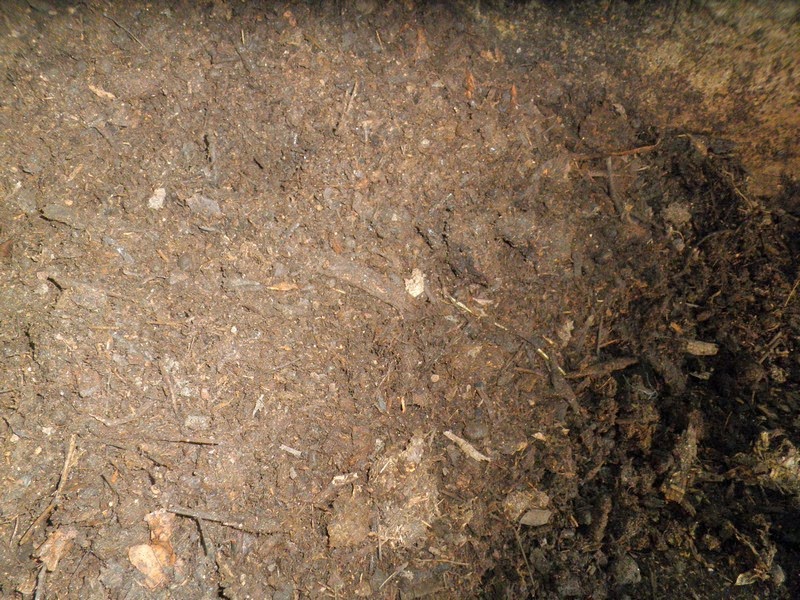 Make your own organic soil 6 Make your own organic soil