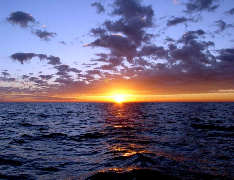 Ocean sunset by RYAFACAN on DeviantArt Ocean sunset by RYAFACAN on DeviantArt