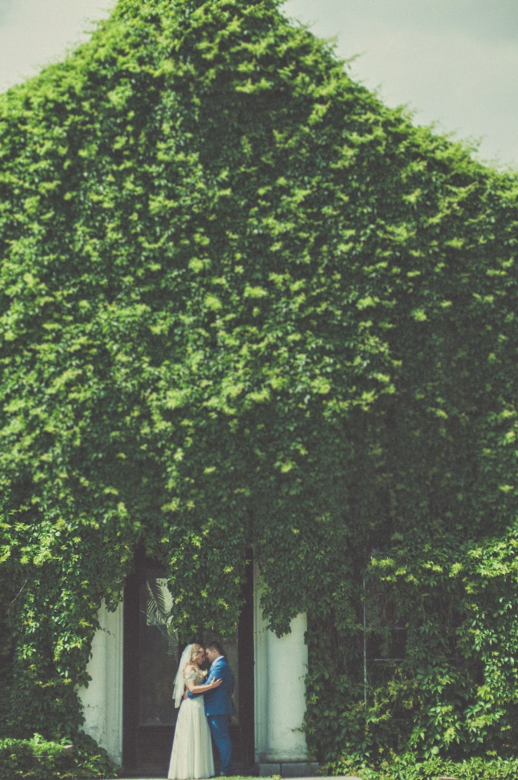 Свадебная фотосессия Кати и Коли_13 свадебный фотограф в Киеве,свадебная фотосессия, летняя фотосессия