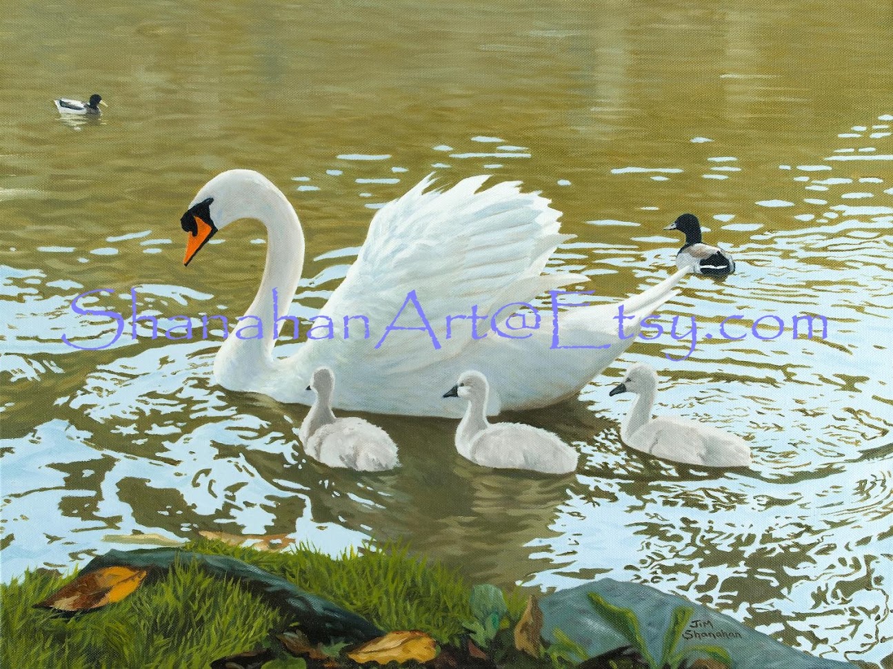 Swan and Cygnets -- Sold