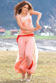 Genelia D'Souza popular Indian hot and sexy Actress photos