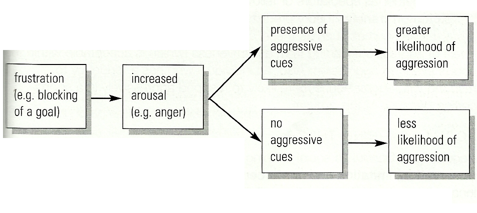 social learning theory of aggression