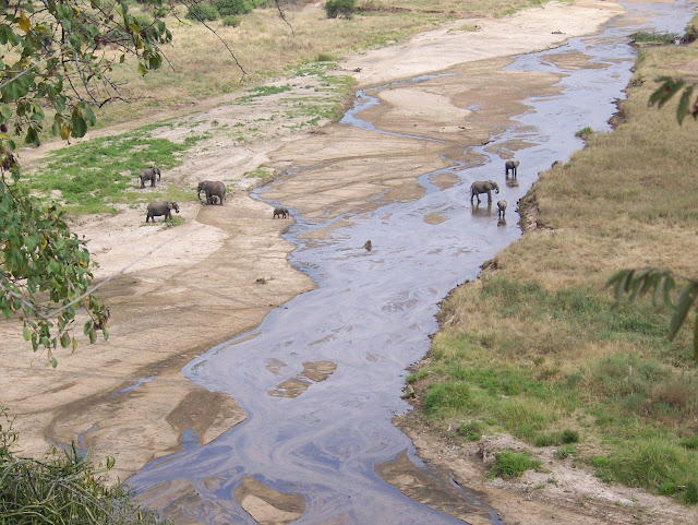 Tarangire National park Tembea Tanzania