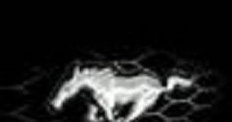 Car Logoss: new car logos wallpapers