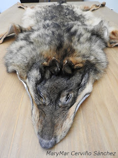 08%2B2015-10-06-Robledo%2Bcentro%2Bdel%2