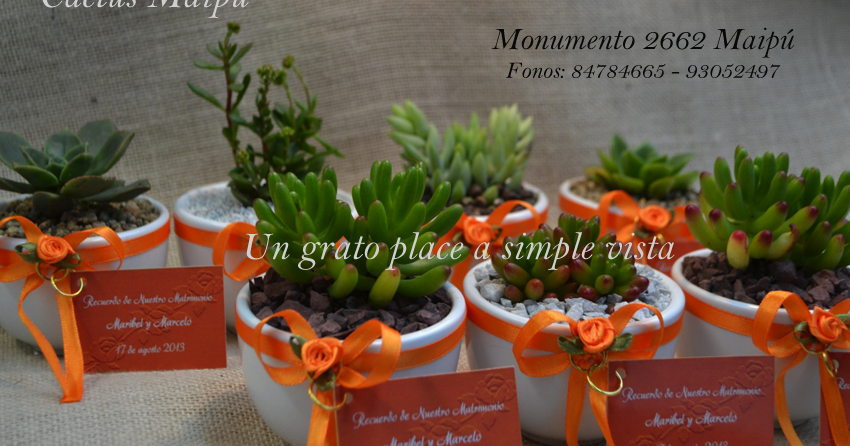 Souvenirs Cactus Maipu Recuerdos De Matrimonio En Ceramica Blanca | souvenirs cactus maip 250 recuerdos de matrimonio en Souvenirs Cactus Maipu Recuerdos De Matrimonio En Ceramica Blanca | souvenirs cactus maip 250 recuerdos de matrimonio en