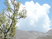 Ο καιρός τώρα στην περιοχή μας!!