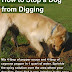 Πως σταματάμε το σκάψιμο του σκύλου;
