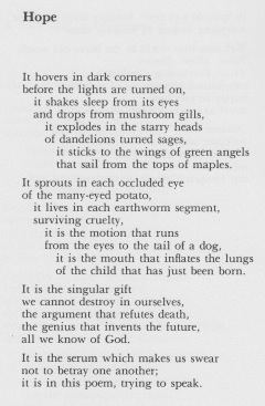 An Analysis Of Metaphors In Lisel Muellers Hope