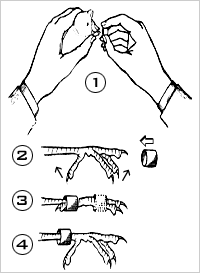 calopsita+%253B+anilha+%25282%2529+-+Psi