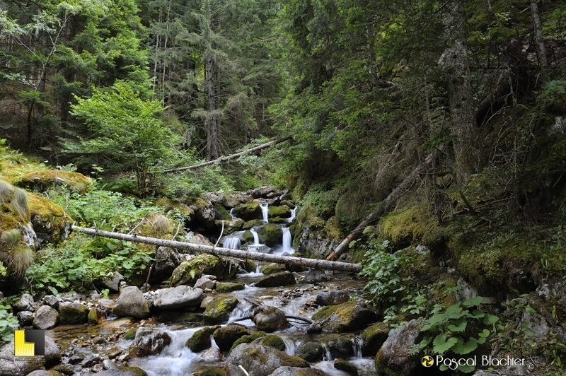 chute d'eau en pose longue photo pascal blachier