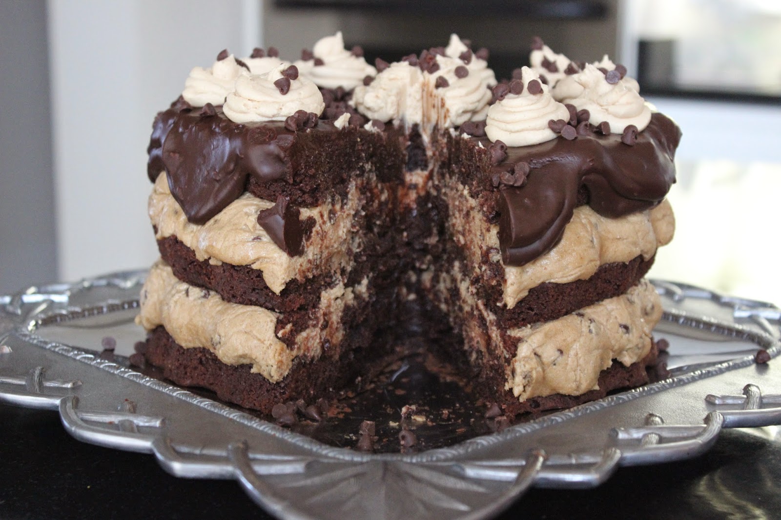 The Southern Living Year Peanut Butter Chocolate Chip Cookie Dough