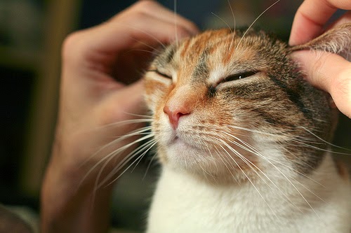 lesbian asian massage