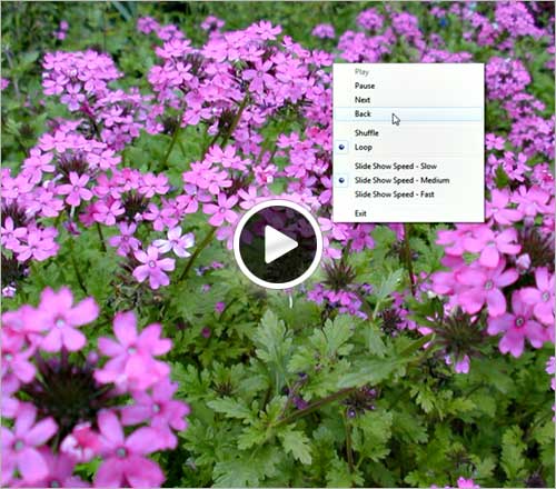 flowers video