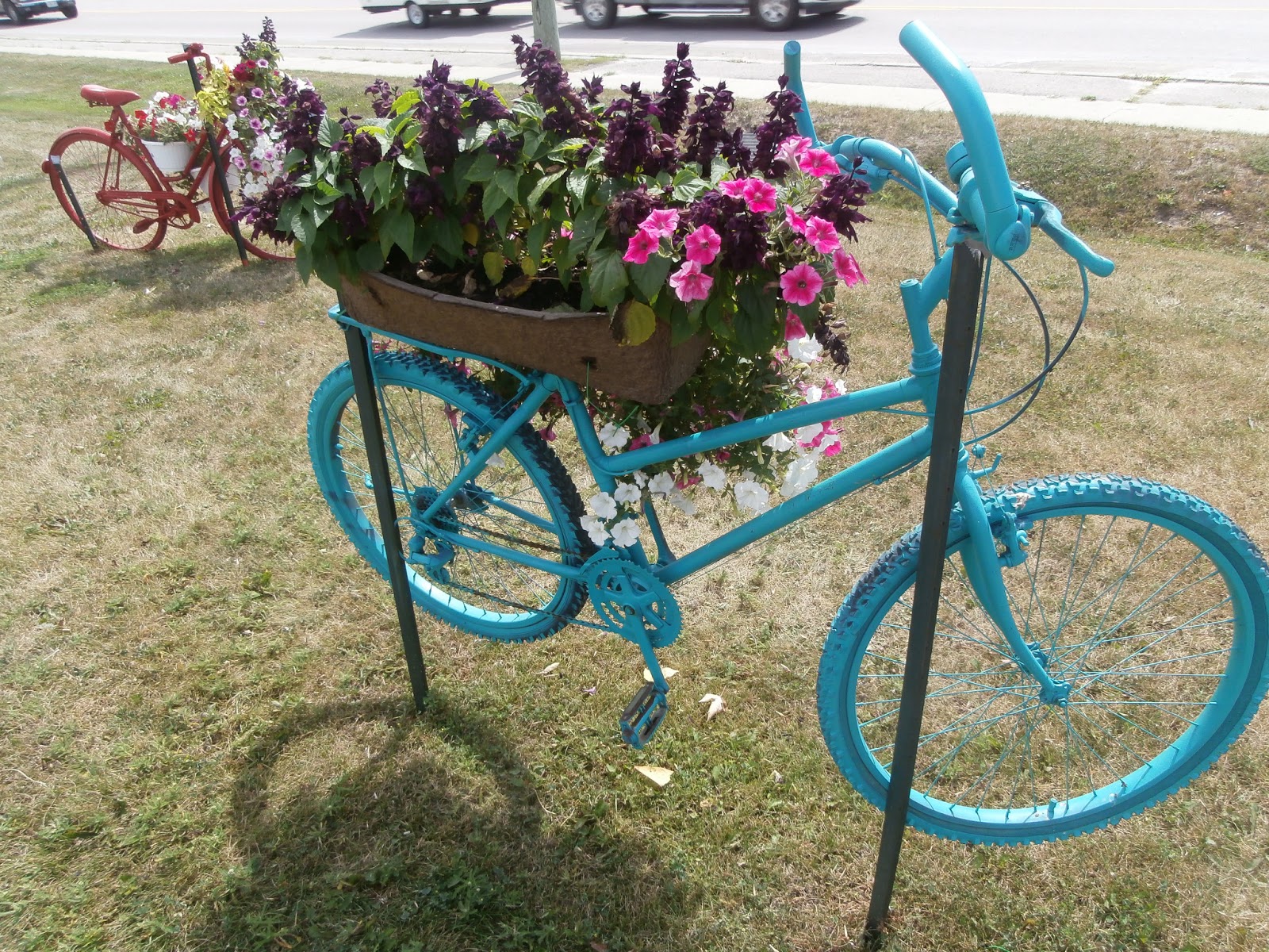 blue bikes in brechin