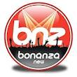 bnz\ logo