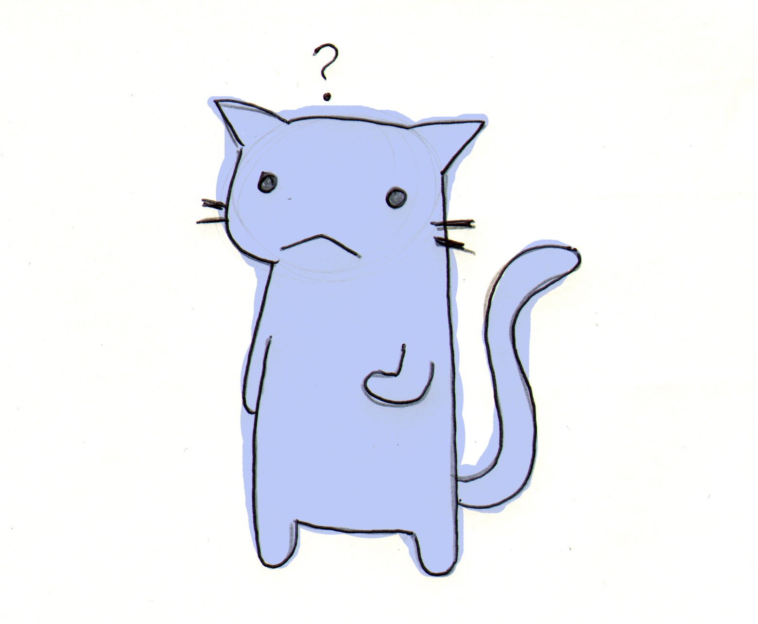Flimsy the Kitten