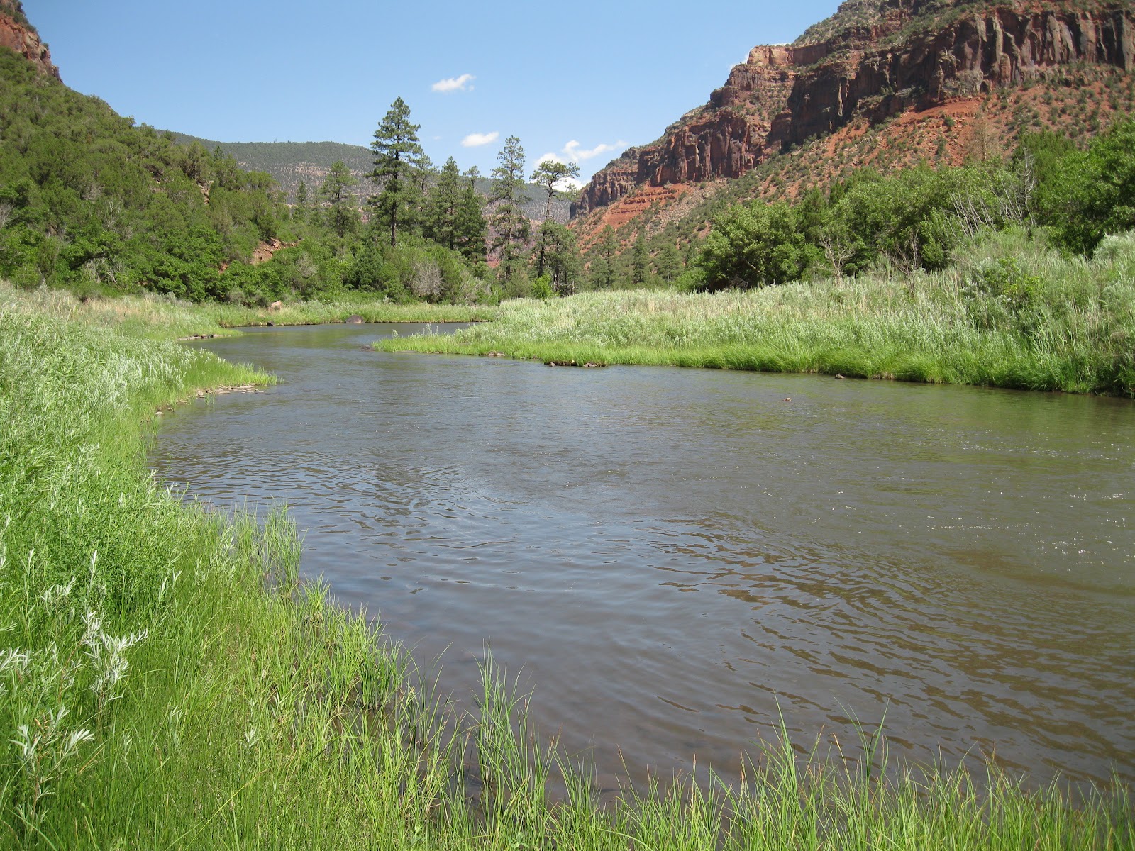 Four Corners HikesDolores River Valley Colorado Dolores River Canyon