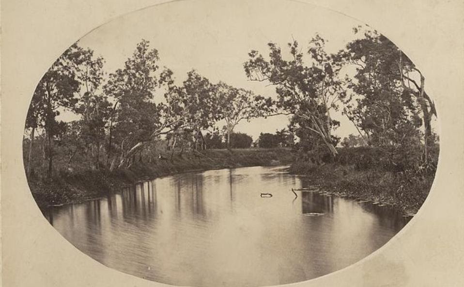 Ostrich Views Of A Hosteler In North India