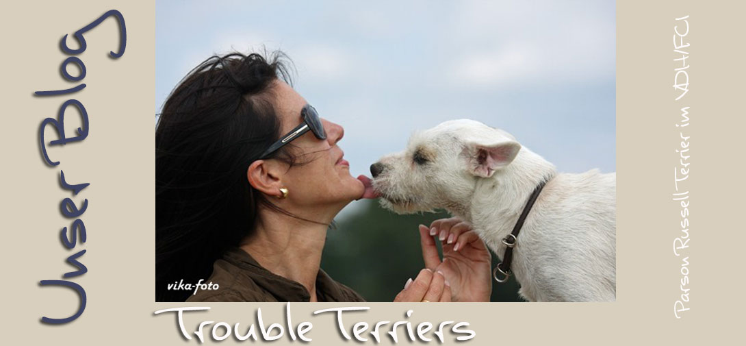Trouble Terriers Parson Russell Terrier (KFT/ VDH )