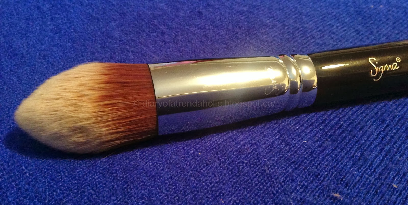 Diary of a Trendaholic Sigma Kabuki Brush Set