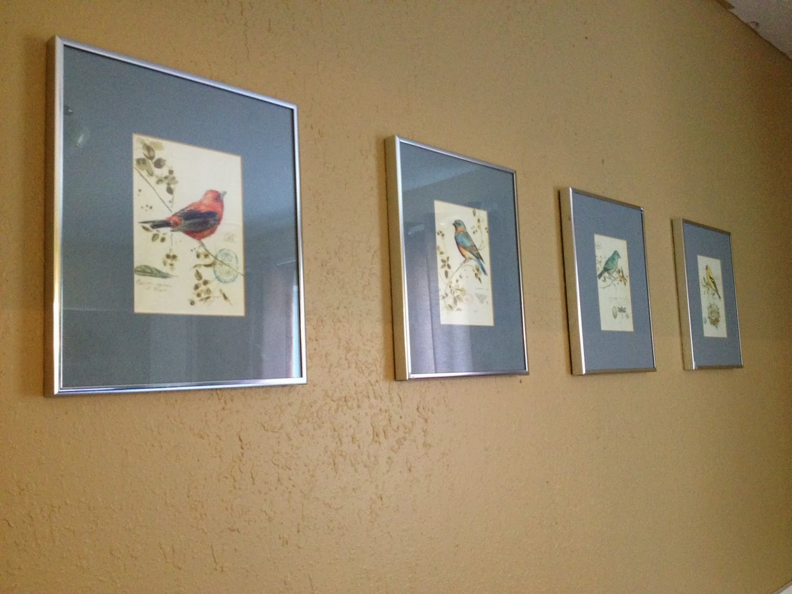 The Serene Swede Frame for Less