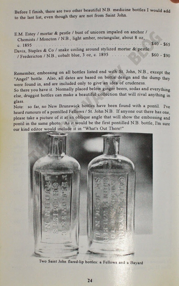 The Lost Valley An History of Saint John, N.B. Saint John