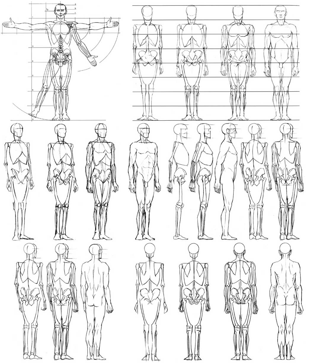The Mannequin A Blog for Dummies MANNEQUIN MODELING