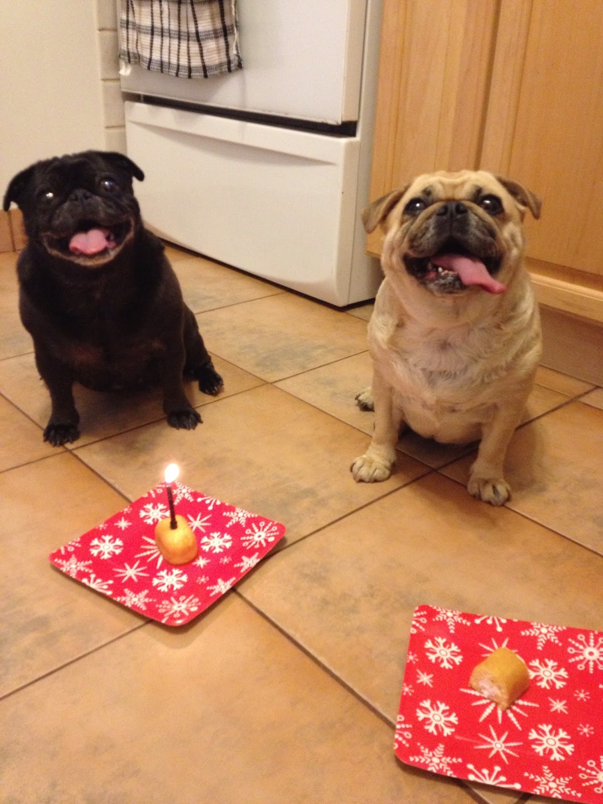 The Makeup Masochist Happy Birthday Tuna!