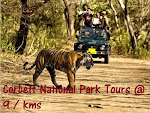 Nainital Corbett Kausani Cheapest Tours