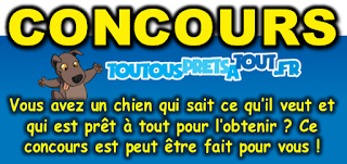 site de rencontres pour chiens