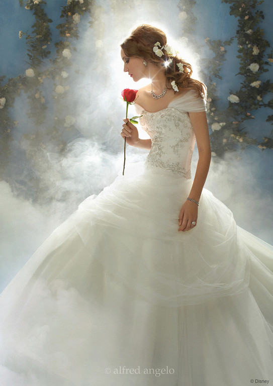Visalli Moda Casa Disney Fairytale Wedding Dresses By Alfred Angelo