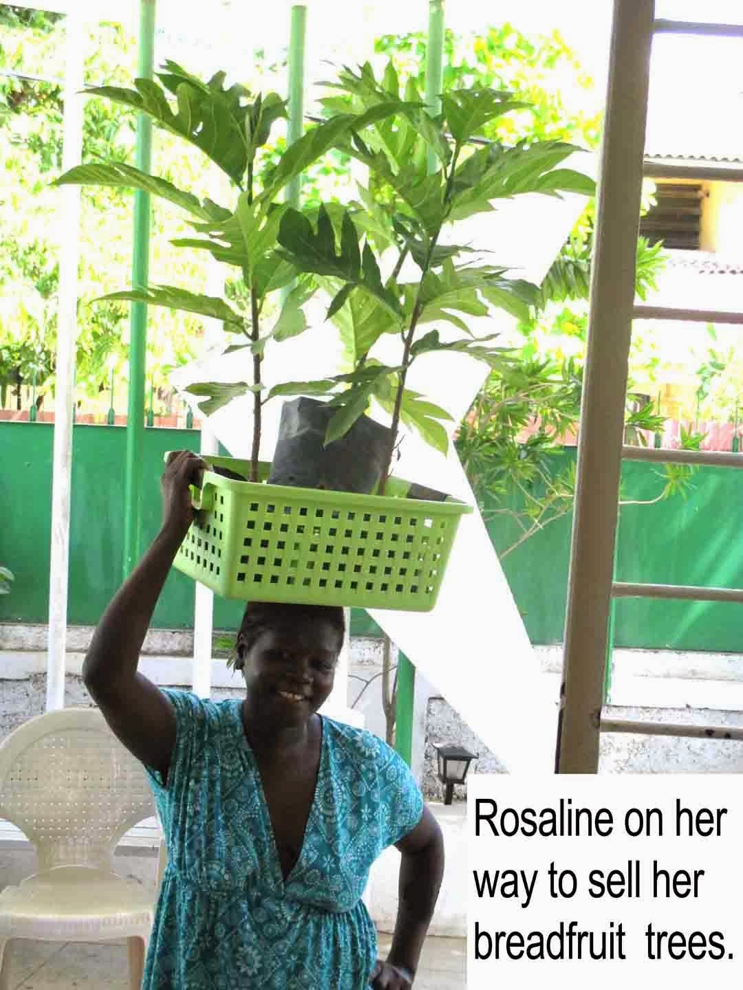 Farms Forests Foods Edible Landscapes and Trees that Feed