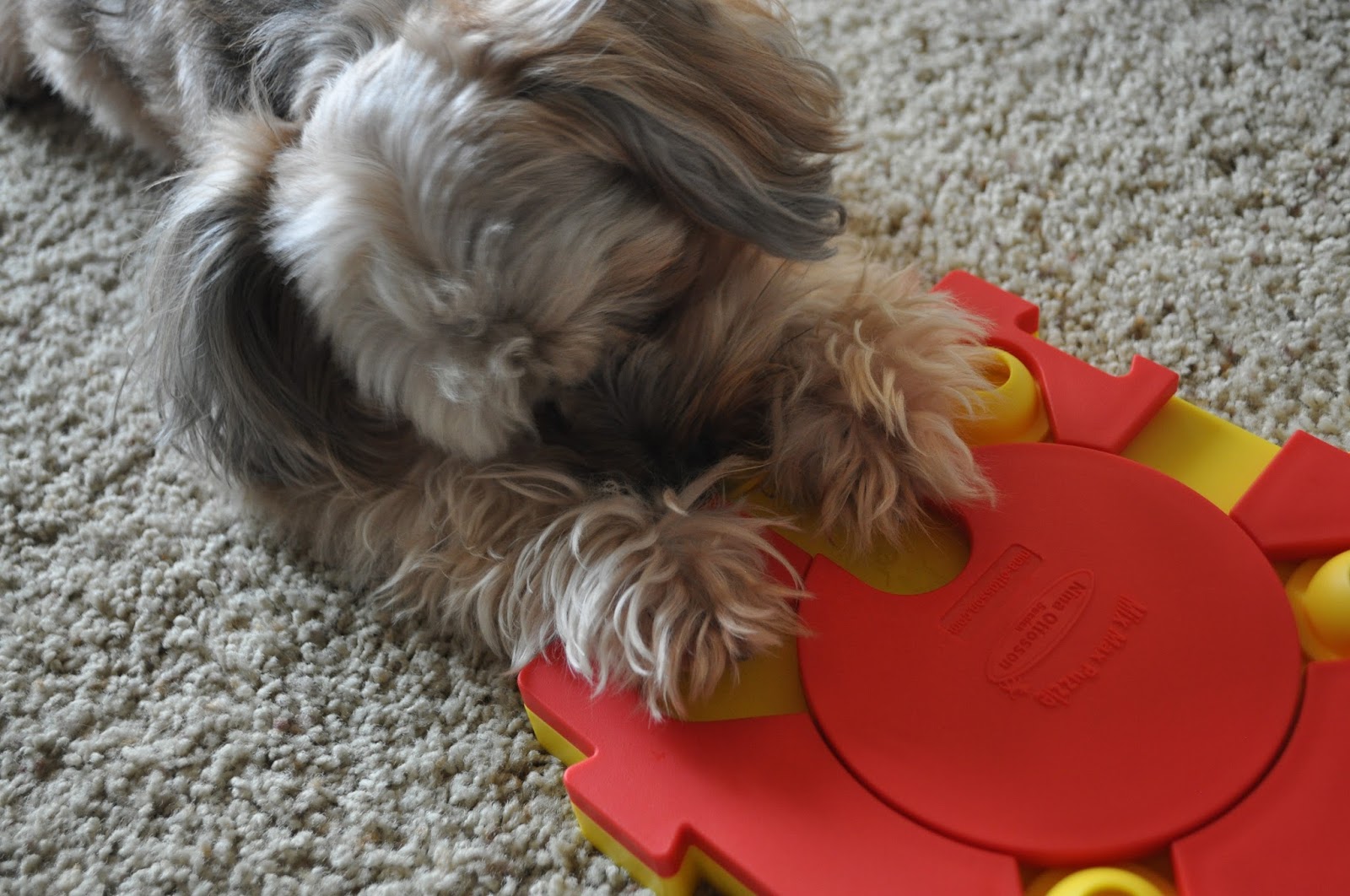 Food Puzzle Toys (Mini Green Slow Dog Feeder and Nina Ottosson Mix