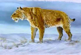 10 Jenis Kucing Prasejarah [ www.BlogApaAja.com ]