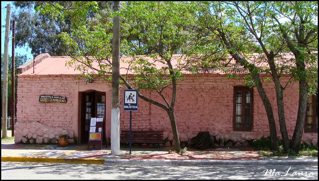 BIBLIOTECA LUGONES EN PIEDRA BLANCA