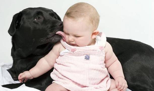 Kids and Pets Seen On www.coolpicturegallery.us