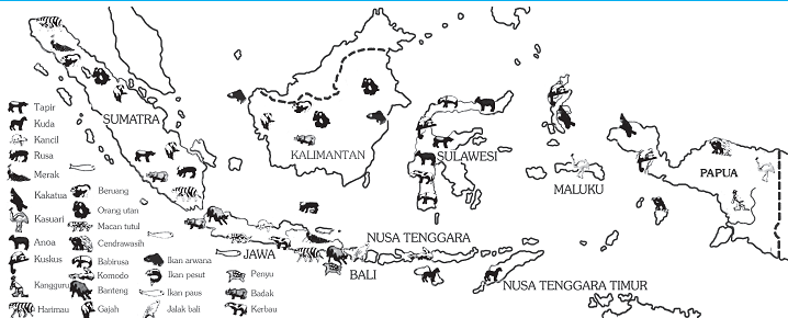 52+ Gambar Persebaran Flora Dan Fauna Di Indonesia Terlihat Keren 52+ Gambar Persebaran Flora Dan Fauna Di Indonesia Terlihat Keren