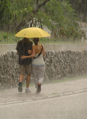 People Under Umbrella