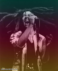 The King Of Reggae