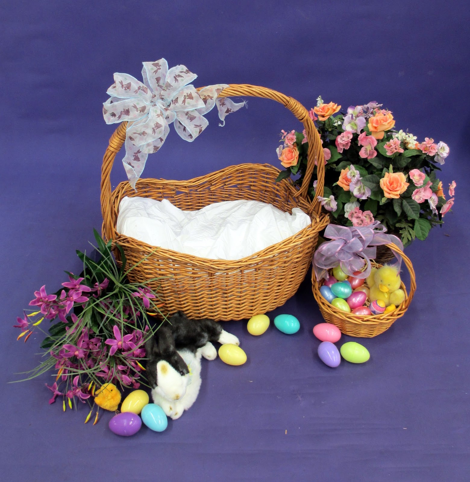 Top 96+ Pictures Petco Pictures With Easter Bunny Stunning
