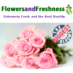 Wholesale Flowers for Weddings