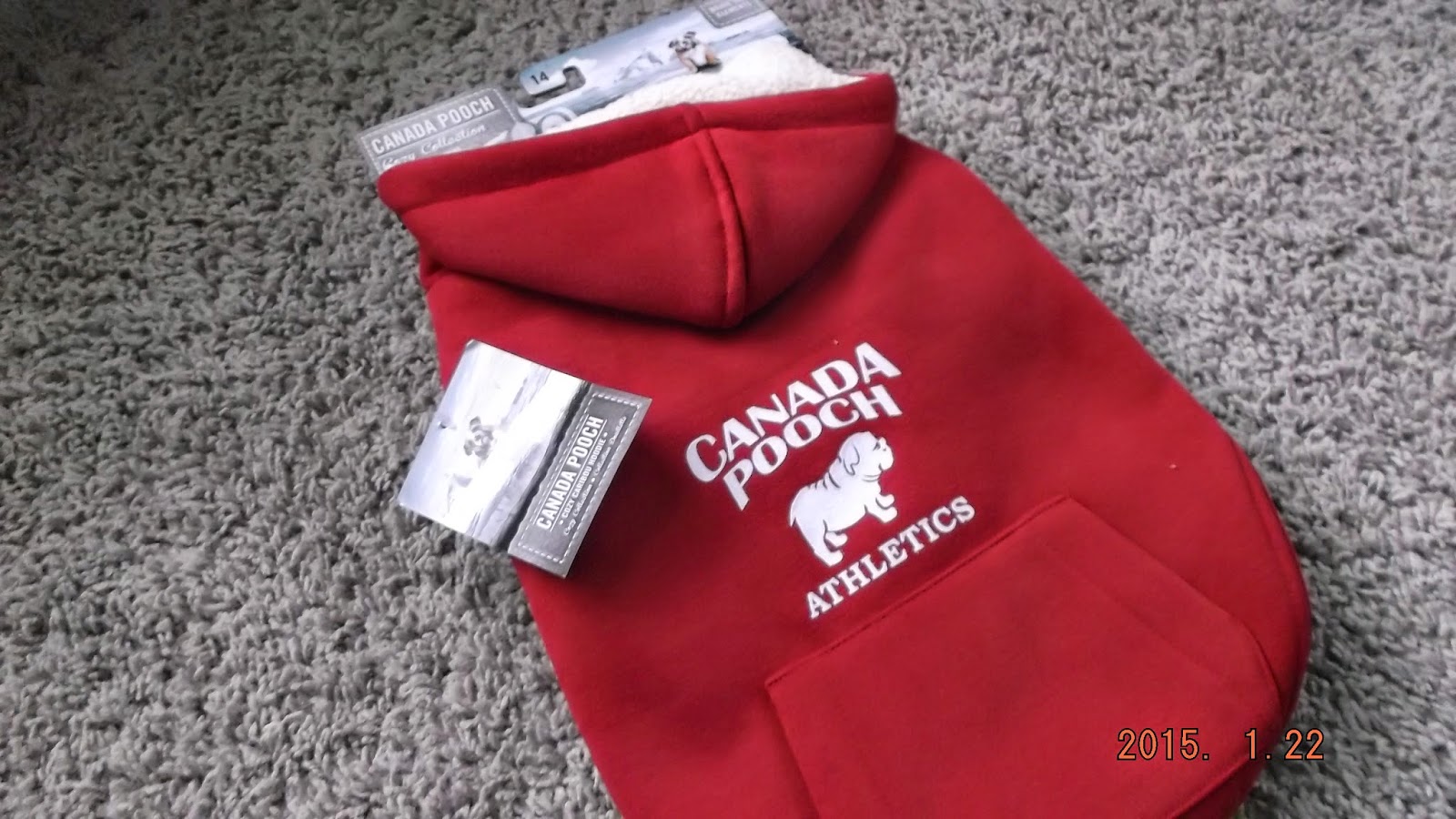 canada pooch caribou hoodie