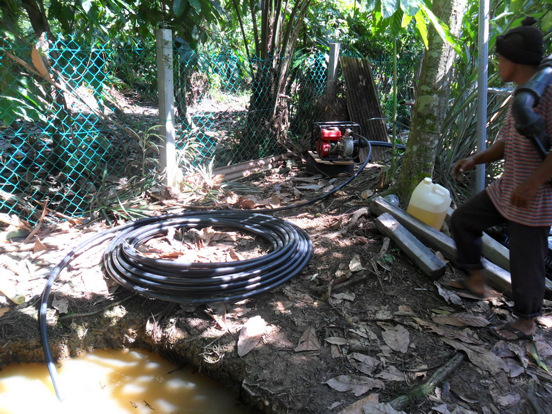 Wak Labu Farm Telage tube Wak Labu