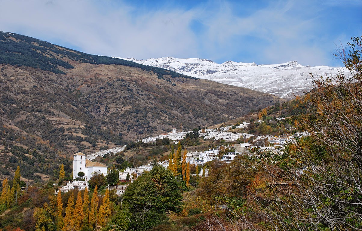 bubion jarapa bubion jarapa