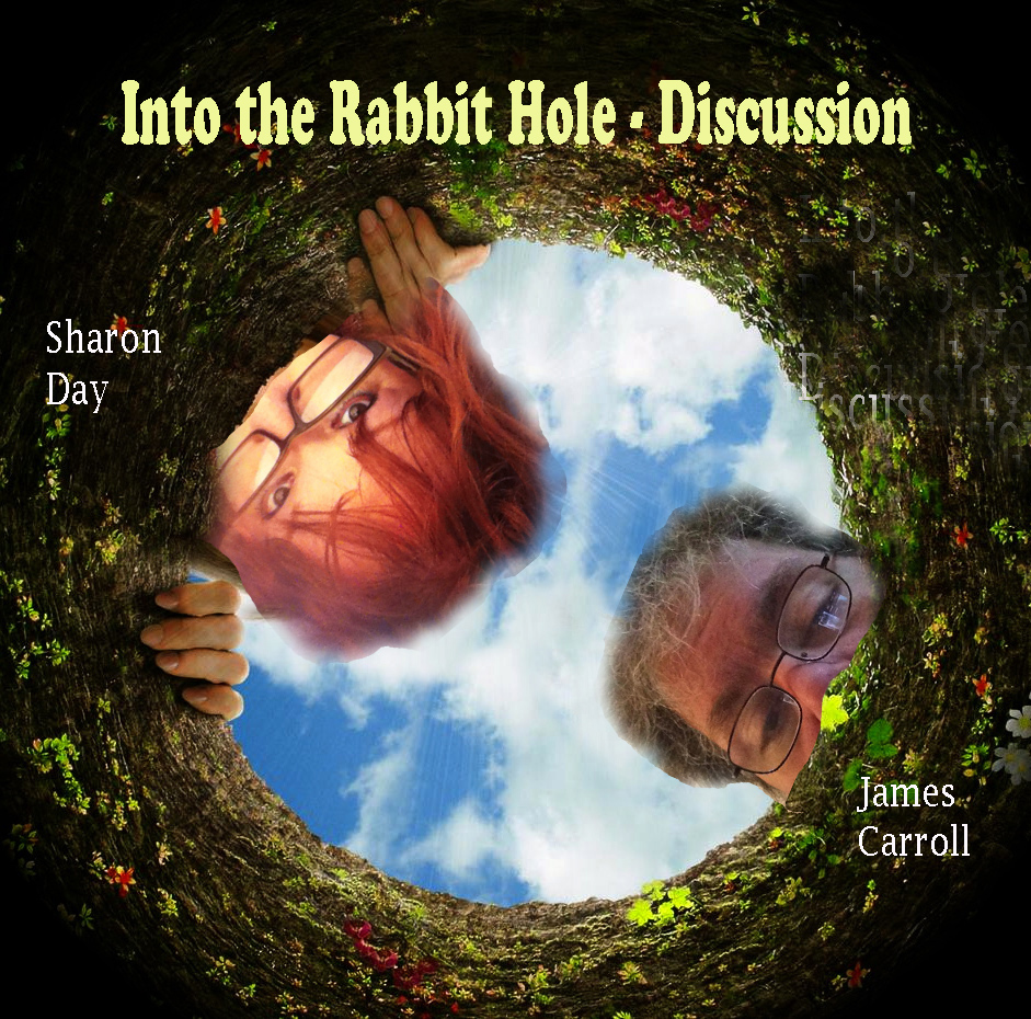 Into the Rabbit Hole Discussion The Stalker Between the Worlds
