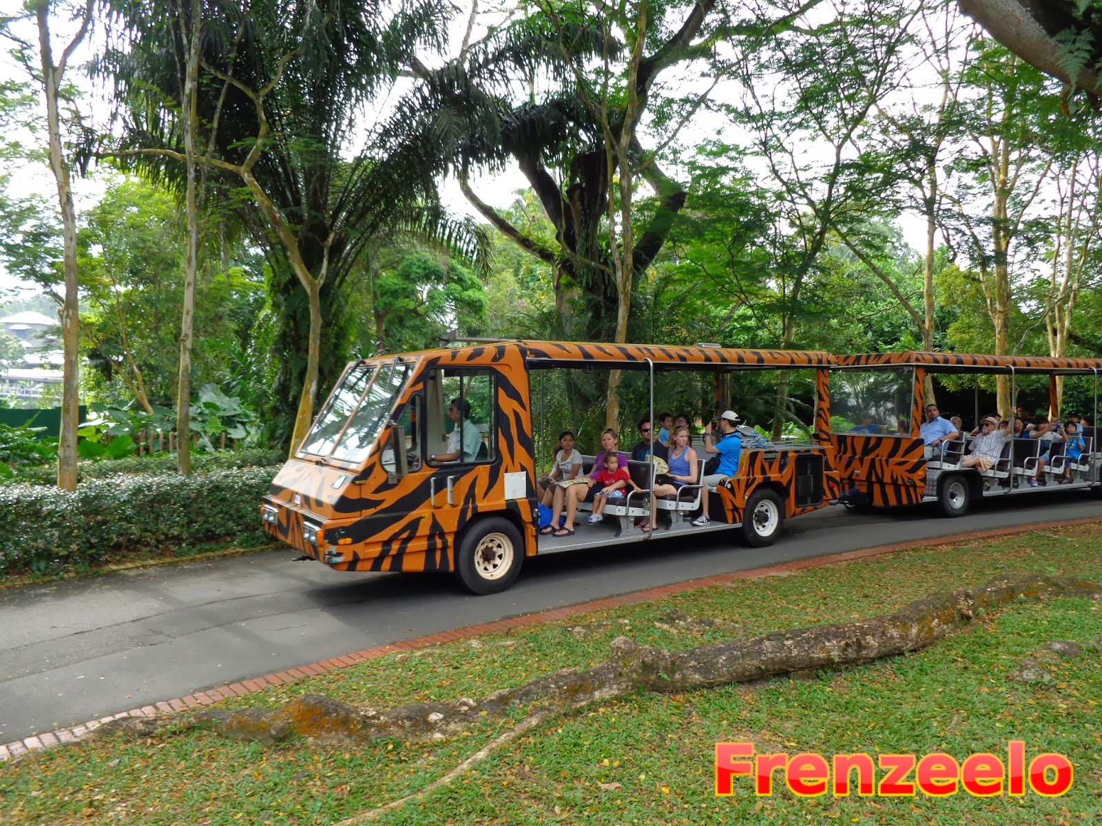 Frenzeelo Zoos in Singapore Singapore Zoo