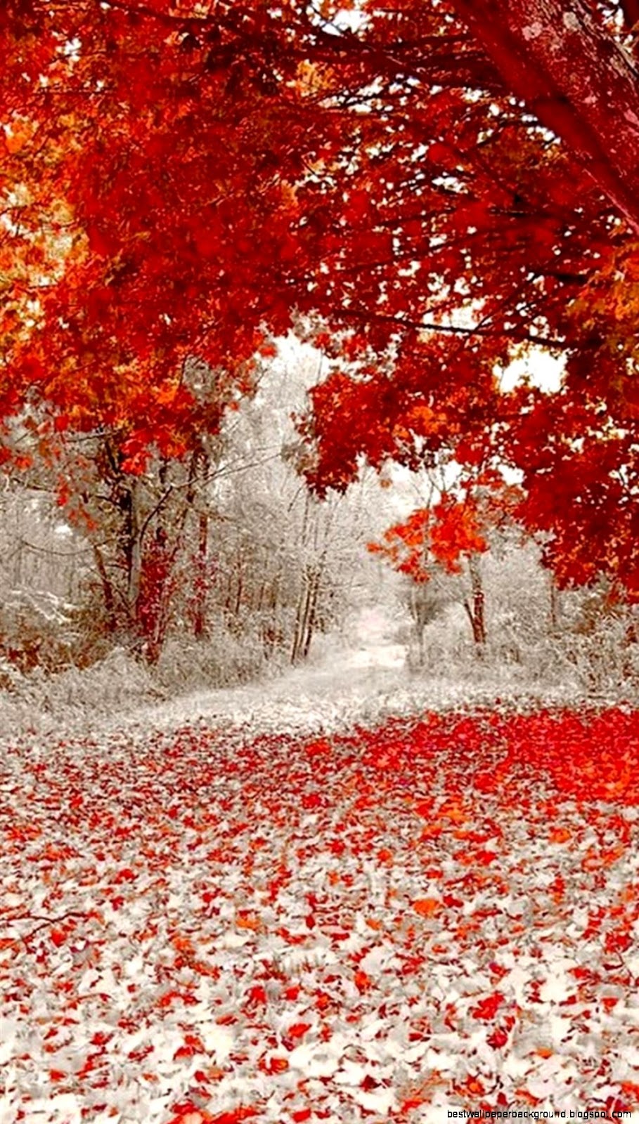 Minnesota Fall and Winter Minnesota Fall and Winter